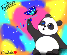 Panda e a lucrécia