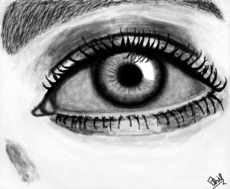 O olho