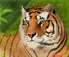 Tigre-de-Bengala