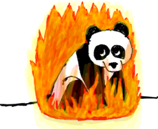 Panda Flamejante p/ Honey