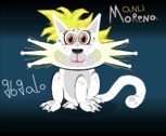 Gato Branco para Manu Morena