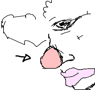 nariz de palhaço
