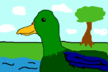 Quack! *-*