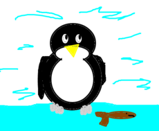 Pinguin_Perto D'água
