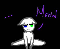 Meow // Cat