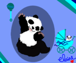 Bebê Panda :3