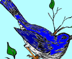 Pássaro Azul