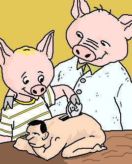 vingança do porco