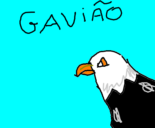 Gavião 
