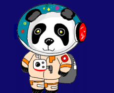 Panda_espacial