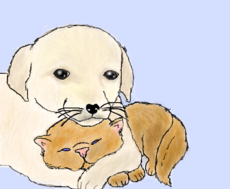 Dog and cat p/ Estrella