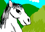 Cavalo branco melhorado
