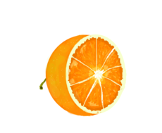 laranja cortada