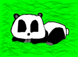 Panda Cutty *o*