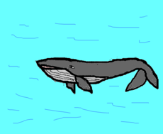 Treianando uma baleia KKK