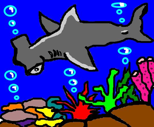 Tubarão-Martelo