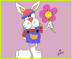 O coelho e a Flor