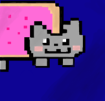 Nyan Cat - Aniversáriante Gi ll Leia a Descrição 