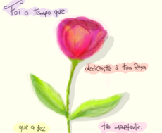 Uma rosa p/ Pok_ana