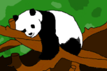 Panda para Helena Garcia