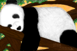 urso panda cochilando *-*