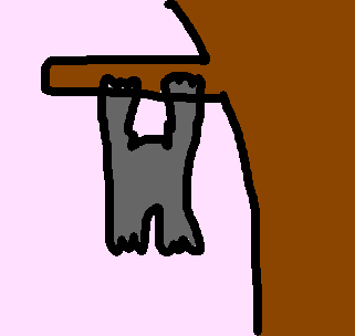 bicho-preguiça