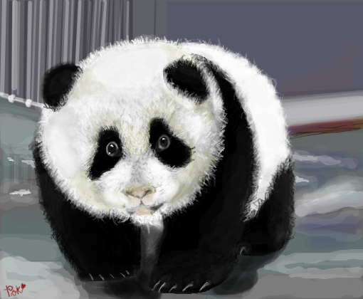 Panda bebê 
