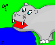 Hipopótamo VET