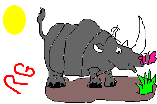 Rinoceronte Selvagem