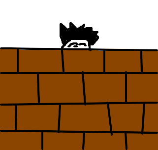 muro