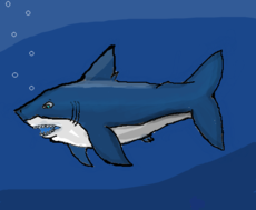 tubarão branco(SAMANTHA)