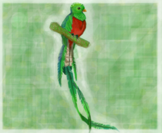 quetzal para( VSGabriele)