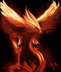 The Phoenix p/ _oasis
