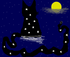 Black Magic Cat