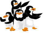 Pinguins de madagascar