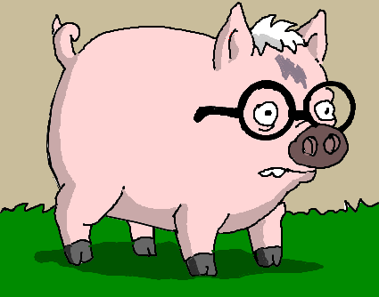 Harry porco