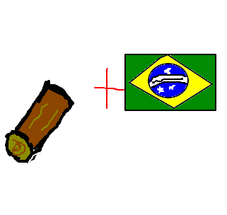 pau-brasil