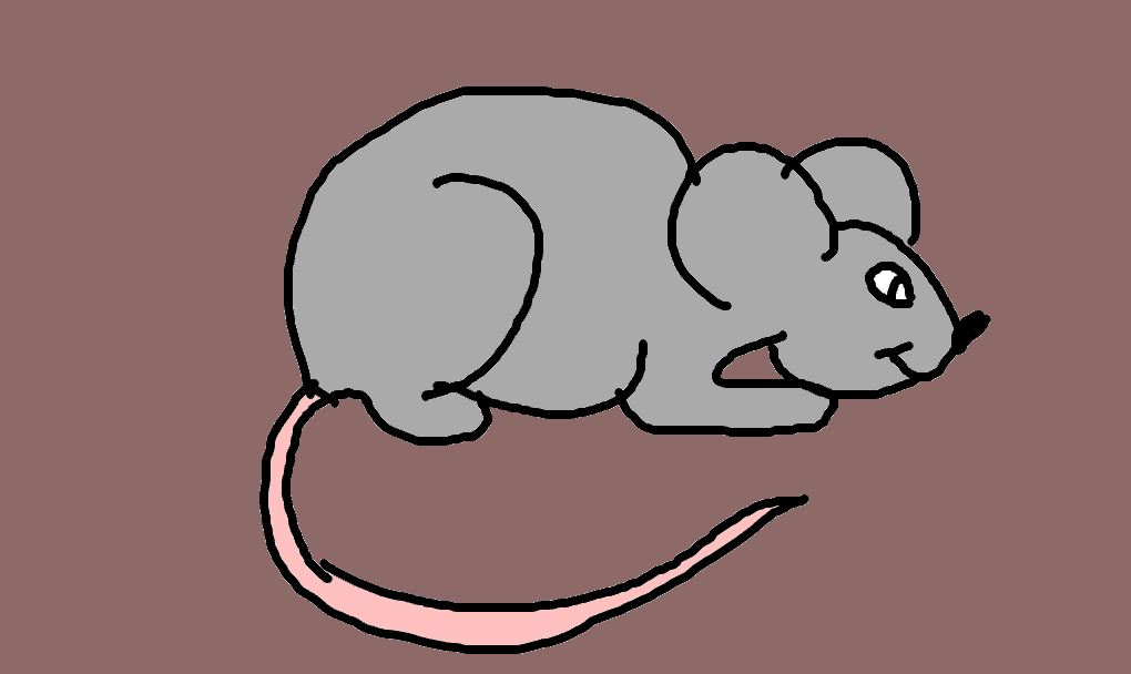 rato-toupeira-pelado
