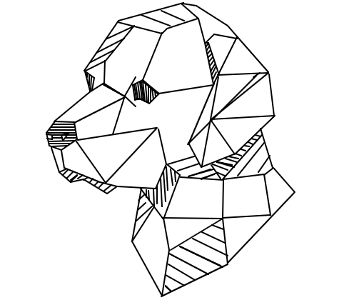 Teste "Intermediário" Geometria Animal