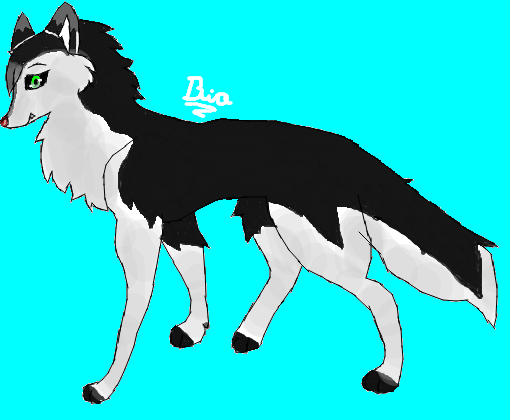 Lobo p/WolfDreams 