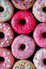 _donut_rosinha_