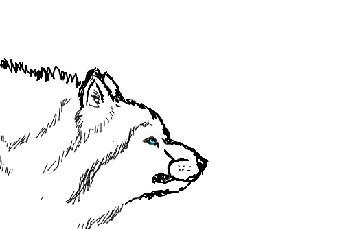 lobo rosnando :3