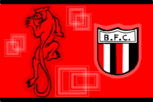 Botafogo-SP/ Meu Orgulho e Orgulho de Ribeirão