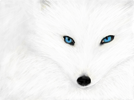 White Fox pro Viníe *-* (ele me ajudou)