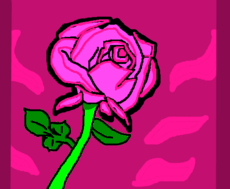minha rosa significa minha vida