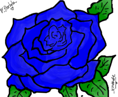 Rosa Azul p/ _florbela_