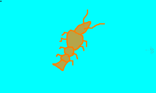 camarão
