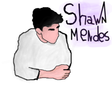 Shawn Mendes p/Fangzy