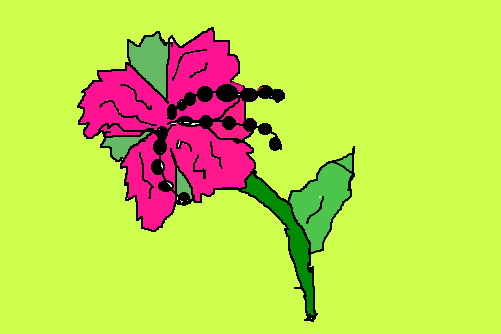 flor de liz