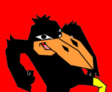 corvo jubileu